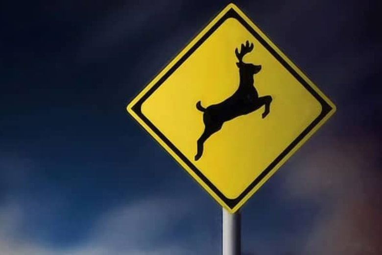 Trên đường đi bạn hãy cảnh giác với biển báo động vật được đặt ở hai bên