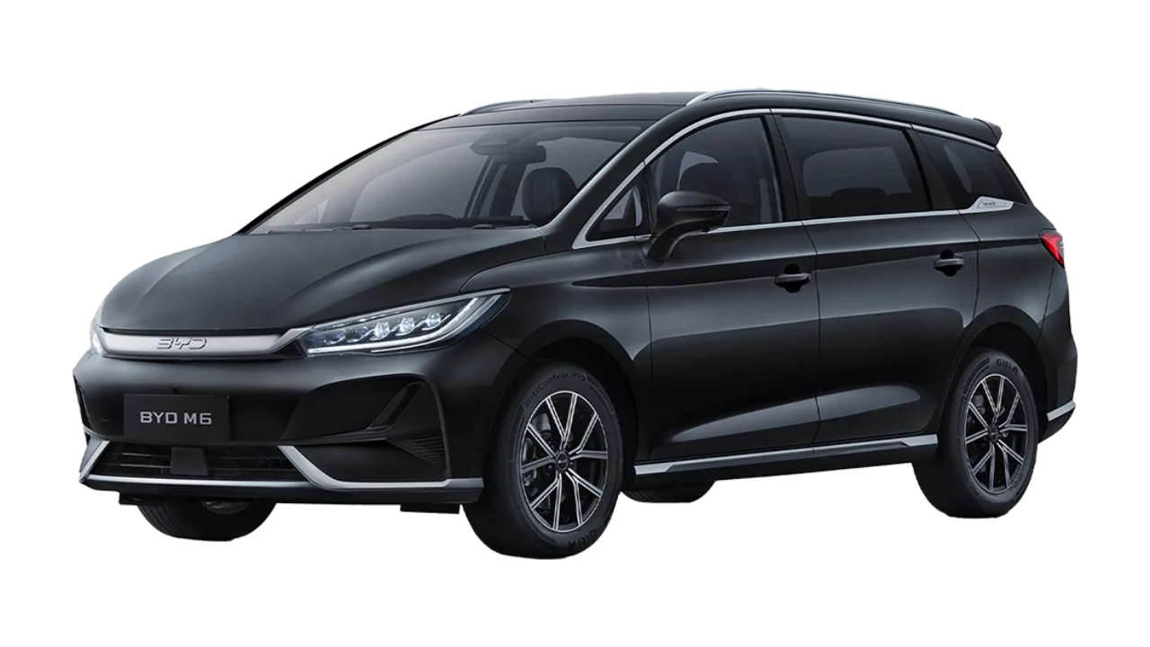BYD M6