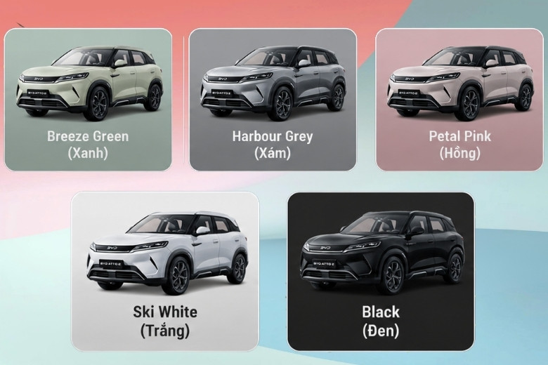 byd atto 2 có mấy màu